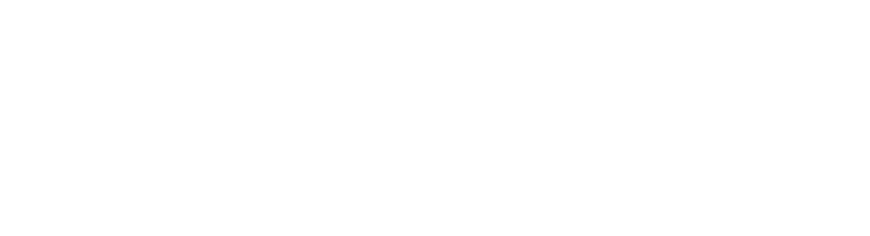 White logo of the METAL project